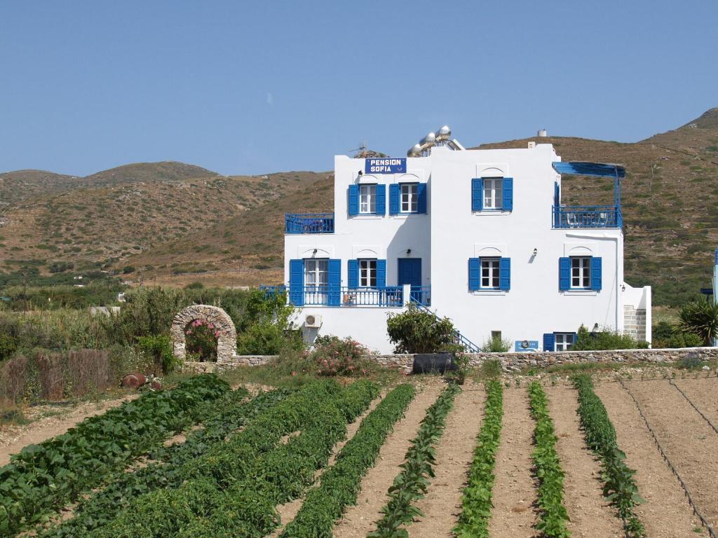 Sofia Amorgos-katapola Hotel apartamentowy Katápola