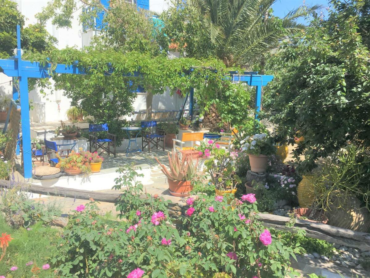 Sofia Amorgos-katapola 2*